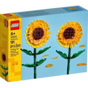 Block 40524 solrosor