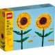 Block 40524 solrosor