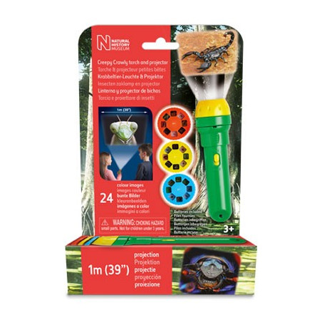 Ficklampa och projektor brainstorm - insekter
