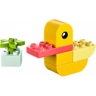 Klocki duplo 30673 moja pierwsza kaczuszka 4 w 1
