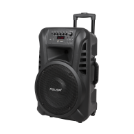 Kolumna aktywna ( z 2 mikrofonami bezprzewodowymi, SD, Bluetooth, USB) 12" 40W