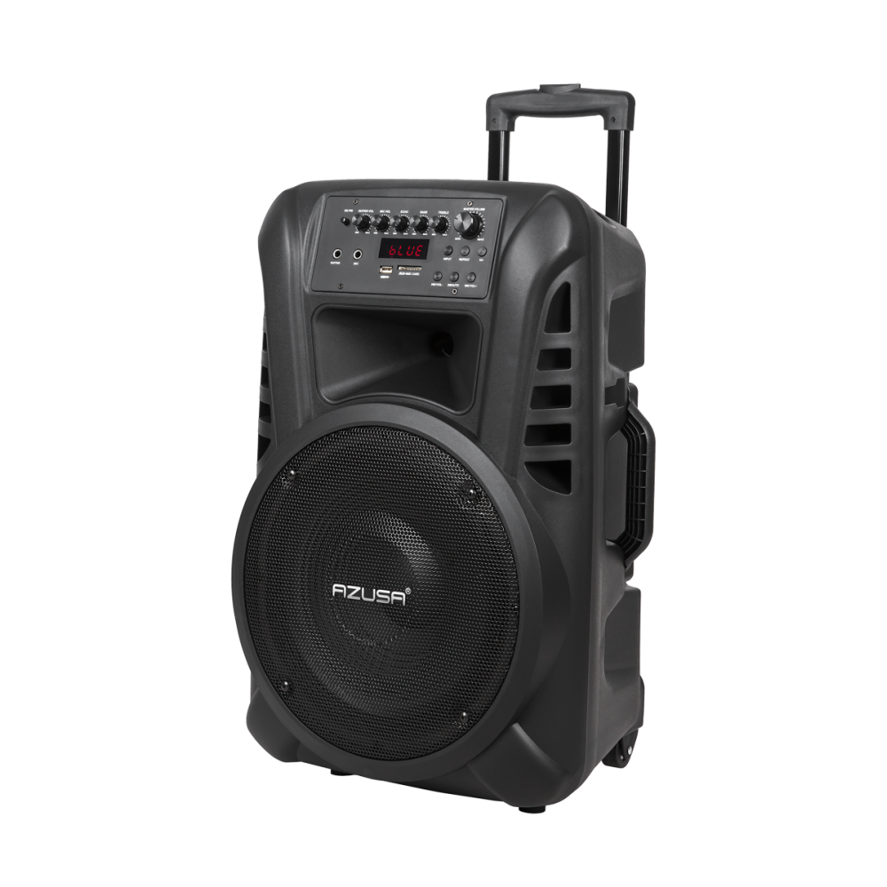 Aktiv högtalare (med 2 trådlösa mikrofoner, SD, Bluetooth, USB) 12' 40W