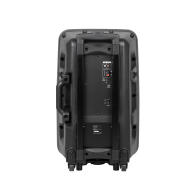 Aktiv högtalare (med 2 trådlösa mikrofoner, SD, Bluetooth, USB) 12' 40W