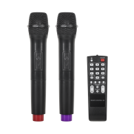 Aktiv högtalare (med 2 trådlösa mikrofoner, SD, Bluetooth, USB) 12' 40W