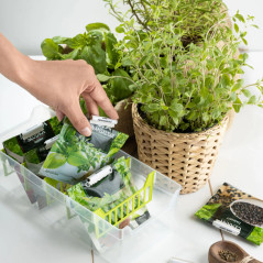 Fullständigt set med 10 BranQ-klämmor