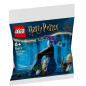 Lego Harry Potter 30677 Draco i den förbjudna skogen