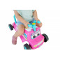 Buggy standard rosa.
