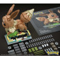 Block Mega Pokemon Eevee