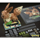 Block Mega Pokemon Eevee