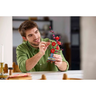 Blocket ikoner 10369 plommonblomma