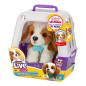 Interaktiv maskot Little Live Pets - hund med transporter