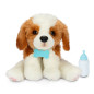 Interaktiv maskot Little Live Pets - hund med transporter