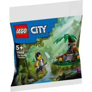 Klocki city 30665 spotkanie z małym gorylem