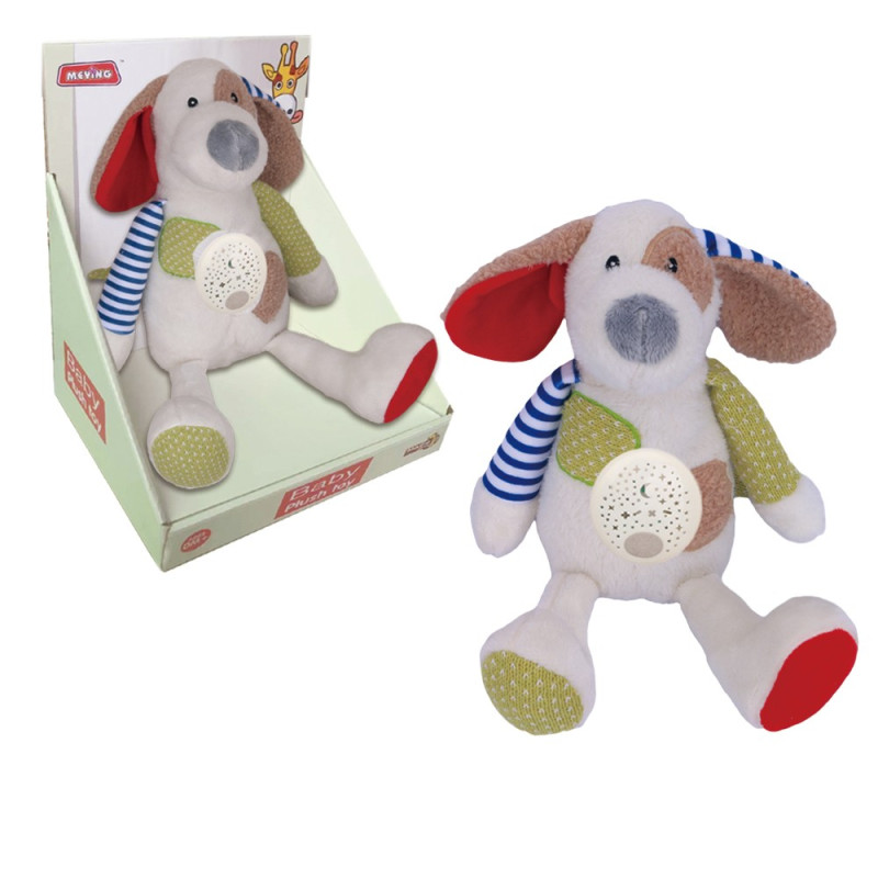 Nattlampa - hund