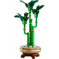 Klocki botanicals 10344 dracena sandera