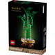 Klocki botanicals 10344 dracena sandera