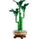 Klocki botanicals 10344 dracena sandera