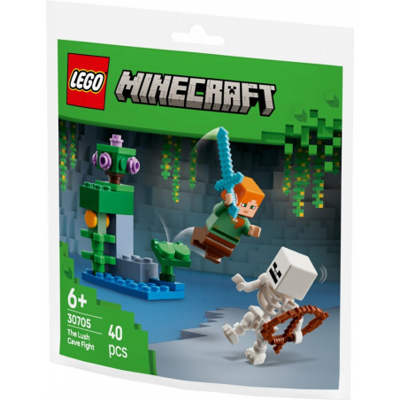 Minecraft set 30705 strid i en frodig grotta