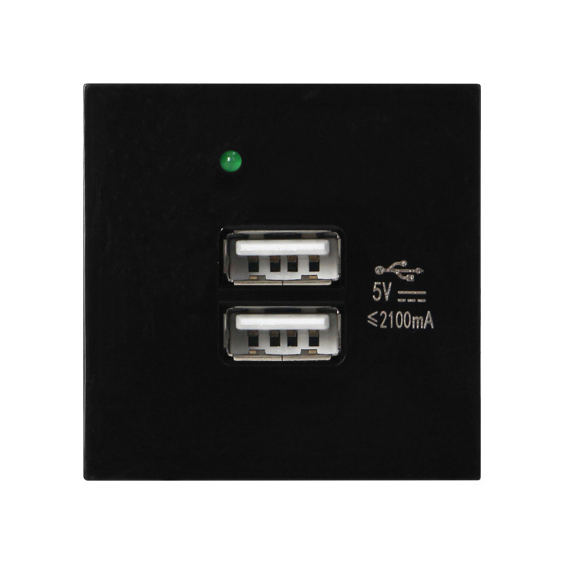 NÅGRA USB x 2, dubbel modulär port 45x45mm med USB-laddare, 2,1A 5V DC, svart