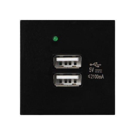 NÅGRA USB x 2, dubbel modulär port 45x45mm med USB-laddare, 2,1A 5V DC, svart