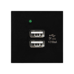 NÅGRA USB x 2, dubbel modulär port 45x45mm med USB-laddare, 2,1A 5V DC, svart