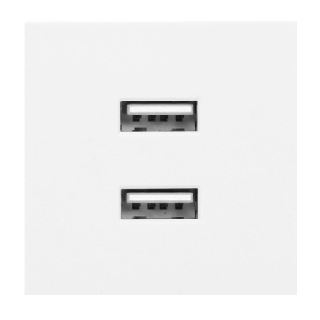 Några USB x 2, dubbel modulär port 45x45mm med USB-laddare, 2,1A 5V DC, vit