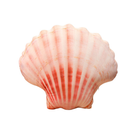 Maskot Plus Shell Kudde 50 x 40 cm