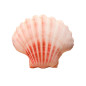 Maskot Plus Shell Kudde 50 x 40 cm