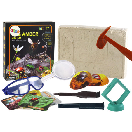 Arkeologiskt set Insekter i Bärnsten utgrävningar