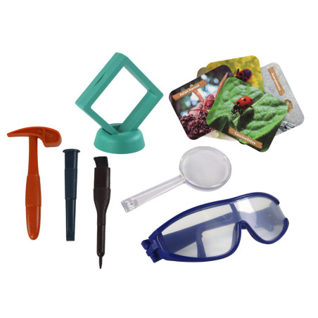 Arkeologiskt set Insekter i Bärnsten utgrävningar