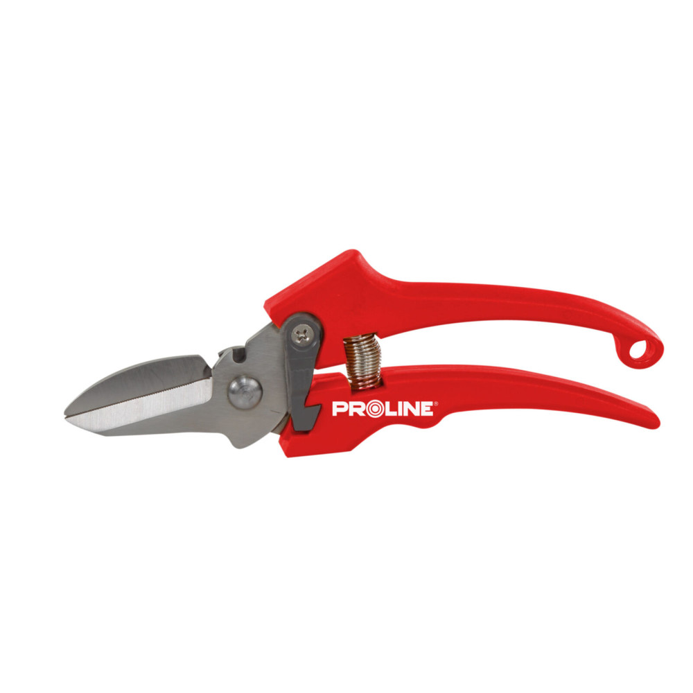 Sekator do kwiatów premium, inox, 8', proline