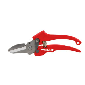 Sekator do kwiatów premium, inox, 8', proline