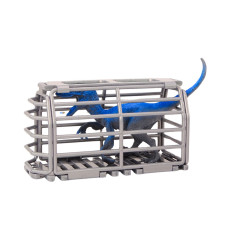 Flygplanet Dinosaurietransport Miniatyr Bur Avtagbar Grön