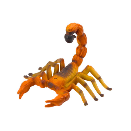 Skorpion öken Djur i världen 8 cm