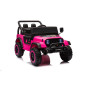 Bilbatteri YSA8813 Rosa 24V