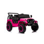 Bilbatteri YSA8813 Rosa 24V