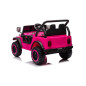 Bilbatteri YSA8813 Rosa 24V