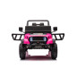 Bilbatteri YSA8813 Rosa 24V