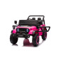 Bilbatteri YSA8813 Rosa 24V