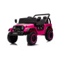 Bilbatteri YSA8813 Rosa 24V