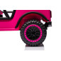 Bilbatteri YSA8813 Rosa 24V