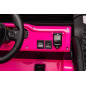 Bilbatteri YSA8813 Rosa 24V
