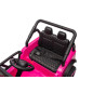 Bilbatteri YSA8813 Rosa 24V