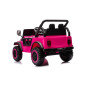 Bilbatteri YSA8813 Rosa 24V