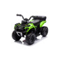 Fyrkantig Batteri GTS1155 Grön