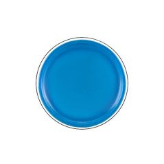 Flygande Frisbee-skiva med Blå Dinosaurie 20 cm | HandlaSmidigt.se