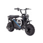 Motor på batteri FIRESTORM HP123E Svart