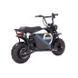 Motor på batteri FIRESTORM HP123E Svart