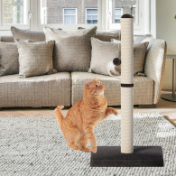 Kattklösmöbel Skrapstolpe Mörkgrå Torn 80 cm x 40 cm