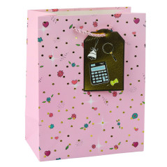 Presentväska för lärarens elev 32 x 26 x 12 cm | HandlaSmidigt.se